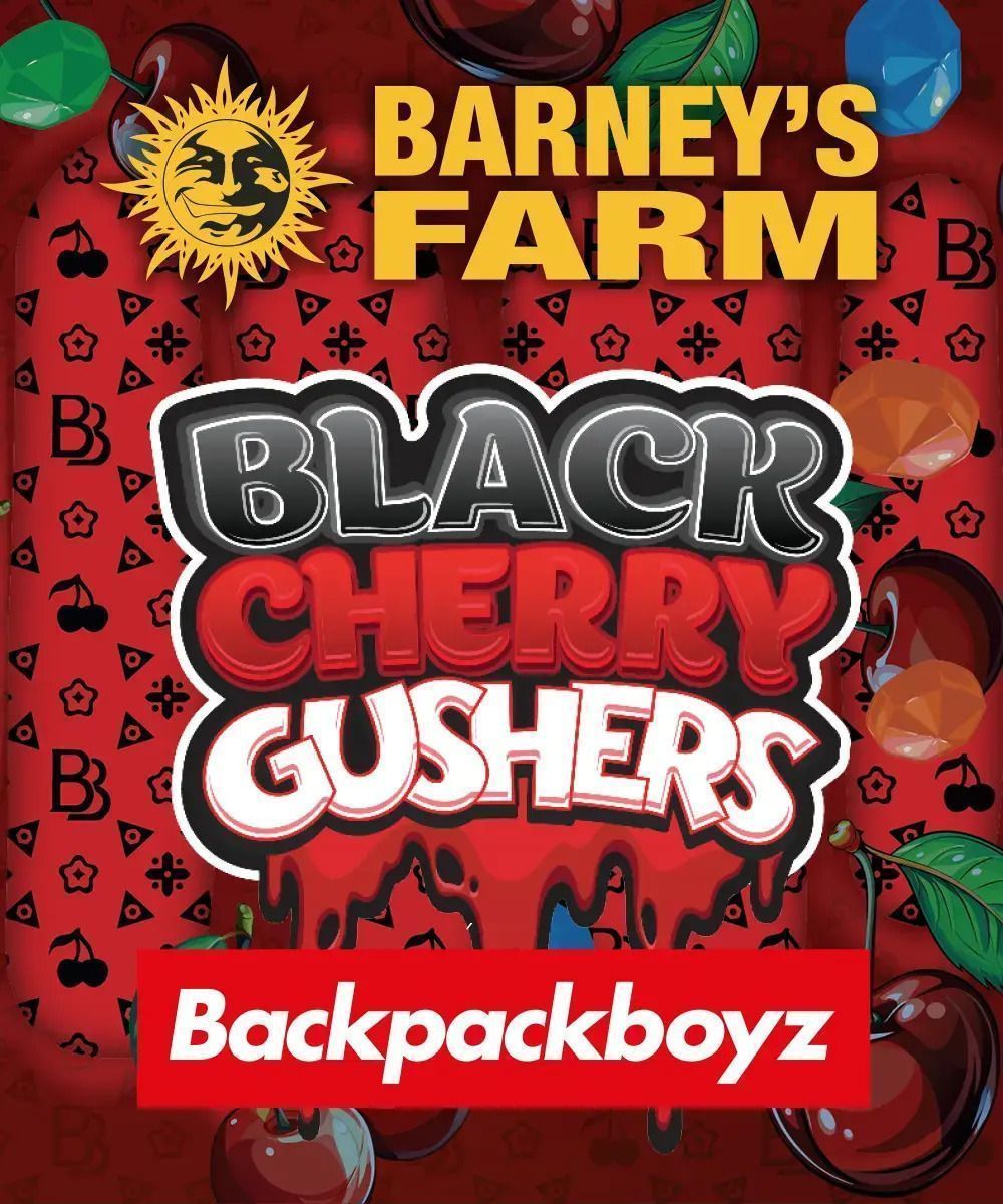 Barney's Farm Black Cherry Gushers Feminsierte Hanfsamen