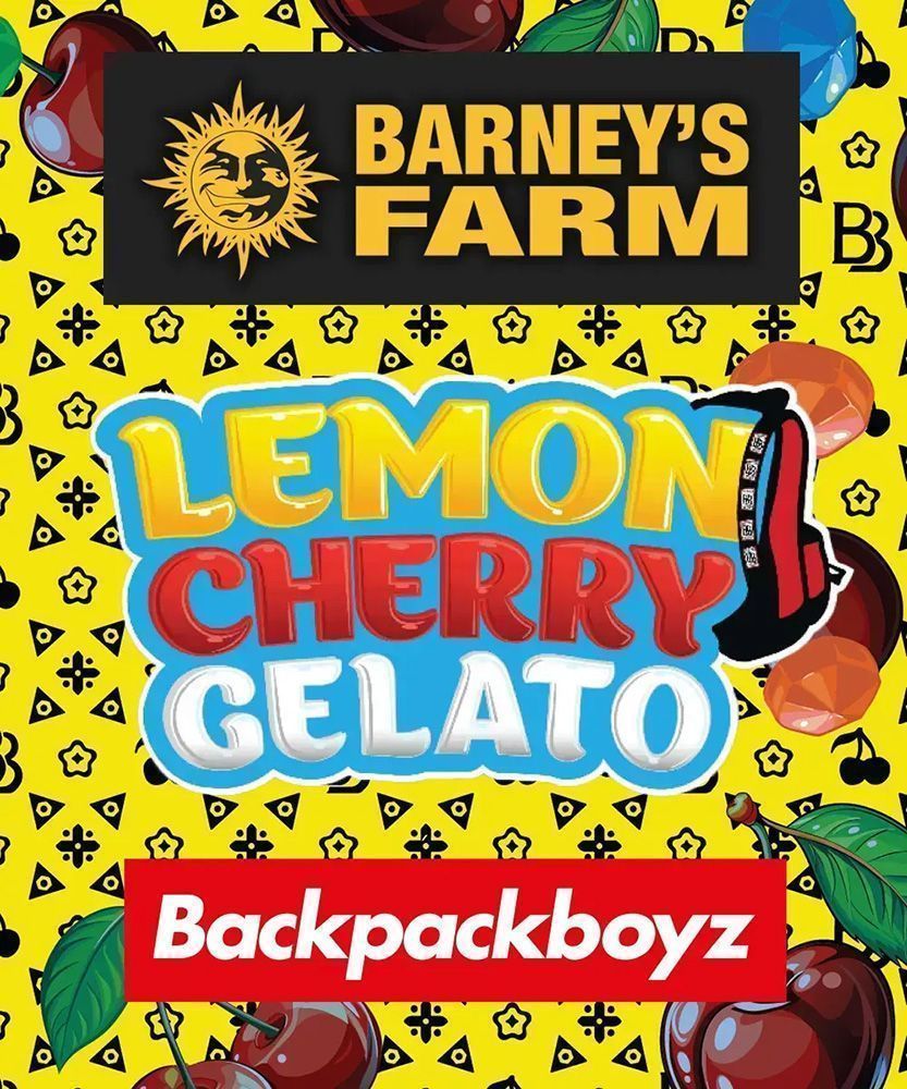 Barney's Farm Lemon Cherry Gelato Feminsierte Hanfsamen