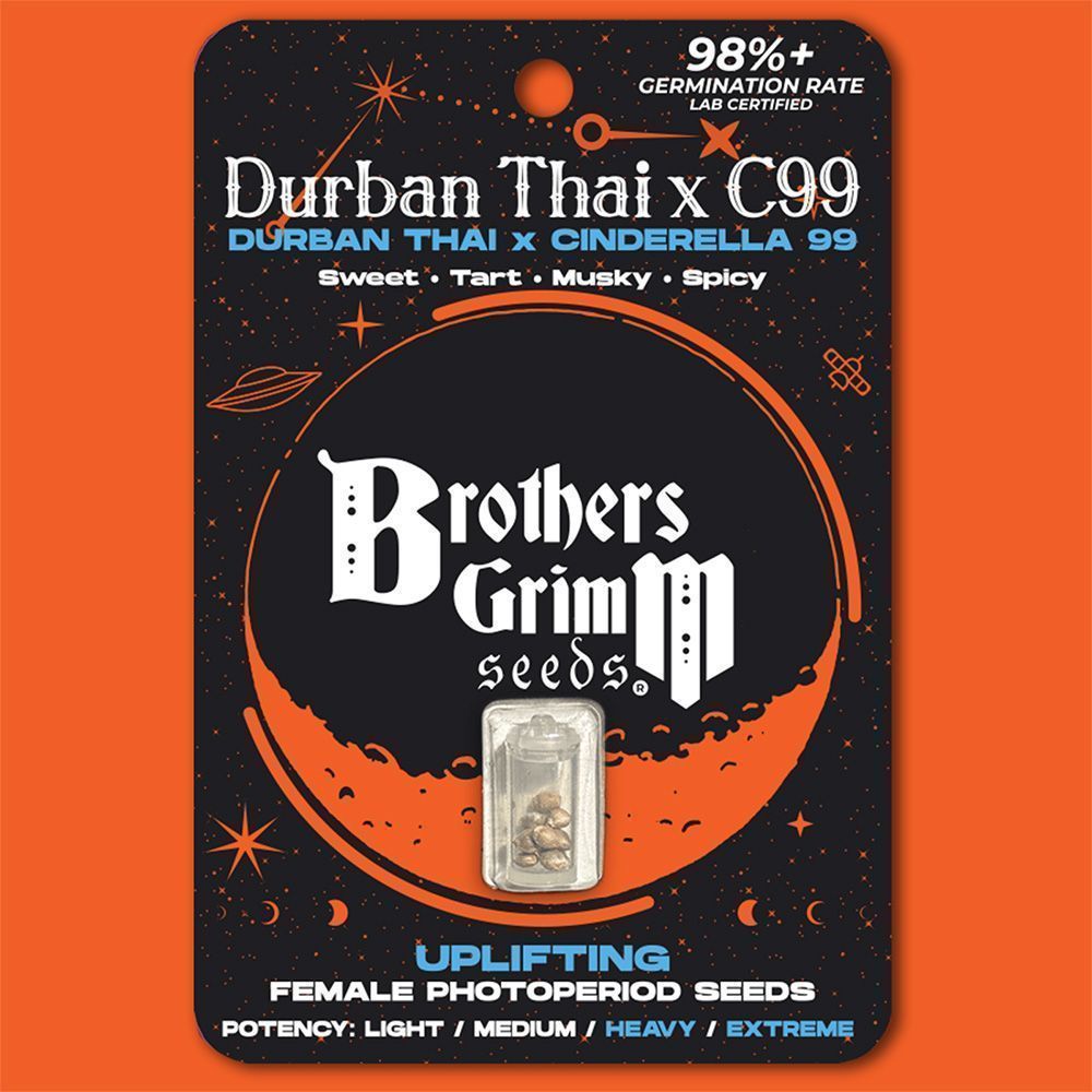 Brother Grimm Seeds Durban Thai x C99 Feminisierte Hanfsamen Cannabisblüte
