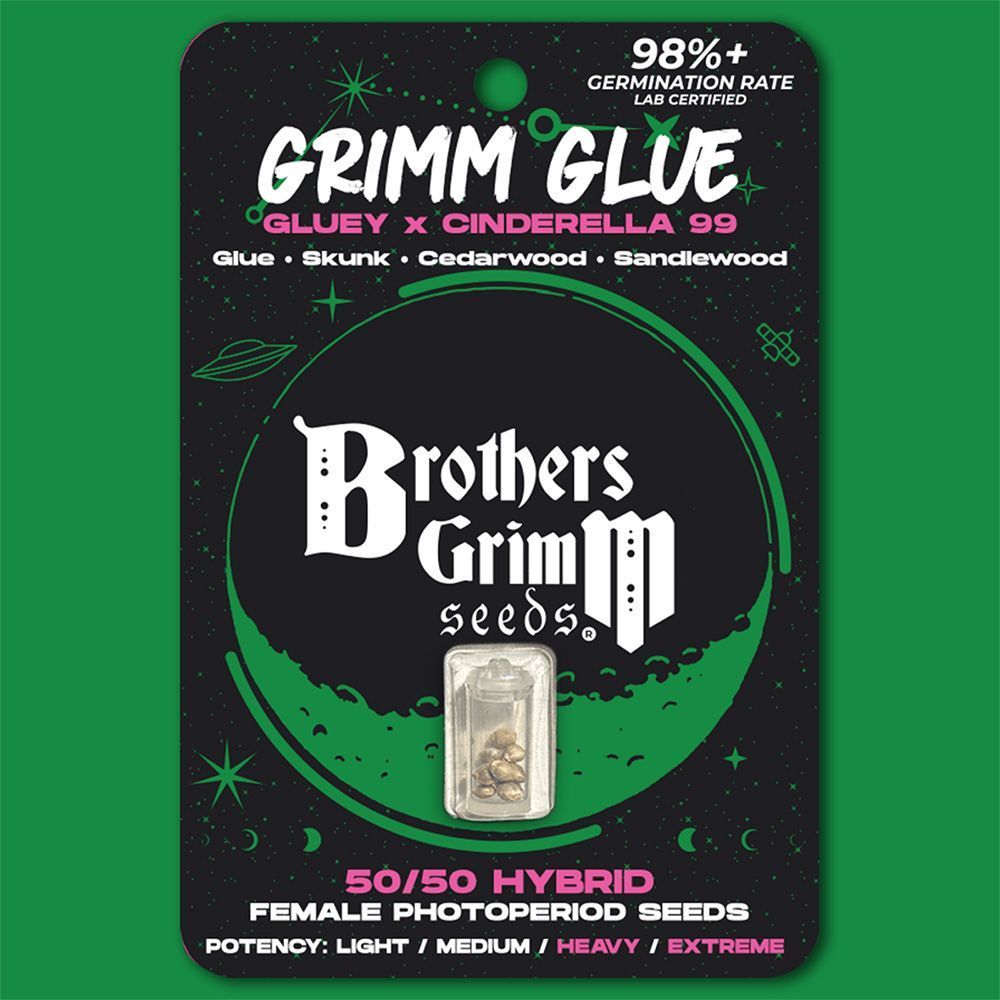Brother Grimm Grimm Glue Feminisierte Hanfsamen Cannabisblüte