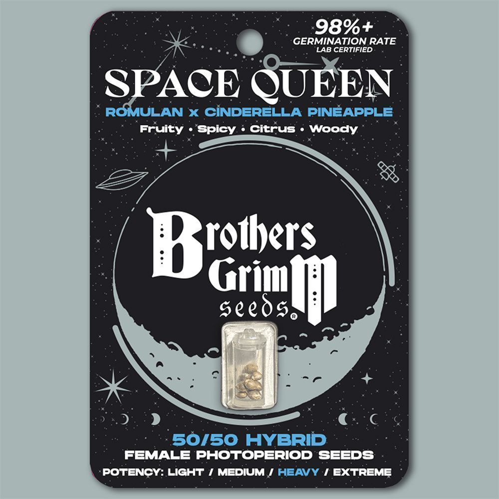 Brother Grimm Space Queen Feminisierte Hanfsamen Cannabisblüte