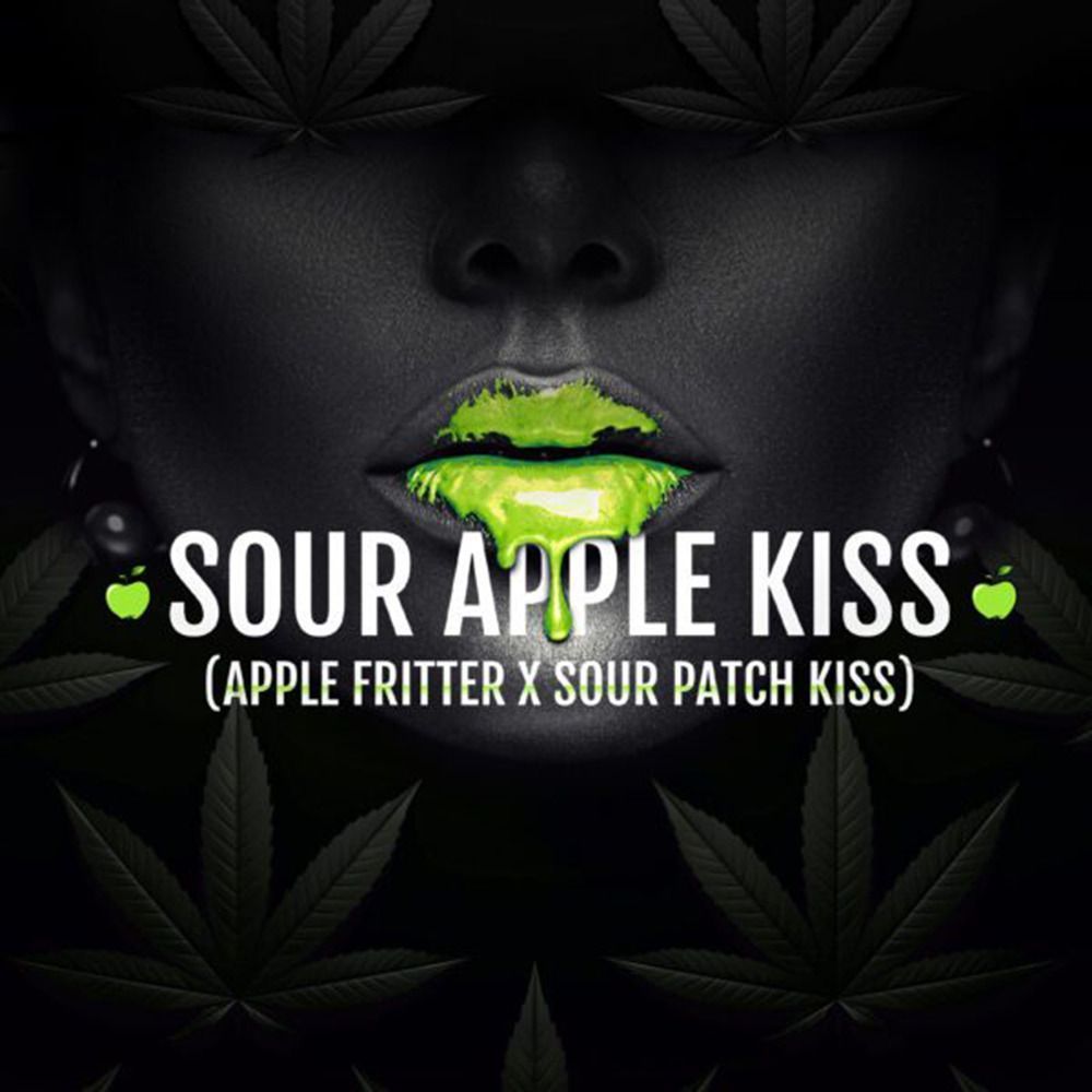 Elev8 Seeds Sour Apple Kiss Feminisierte Hanfsamen Cannabisblüte