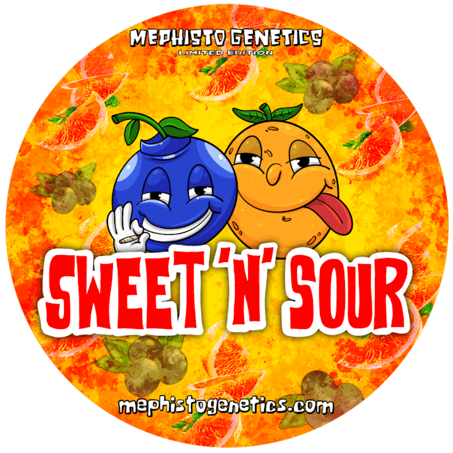 Mephisto Genetics Sweet 'n' Sour Automatic Hanfsamen