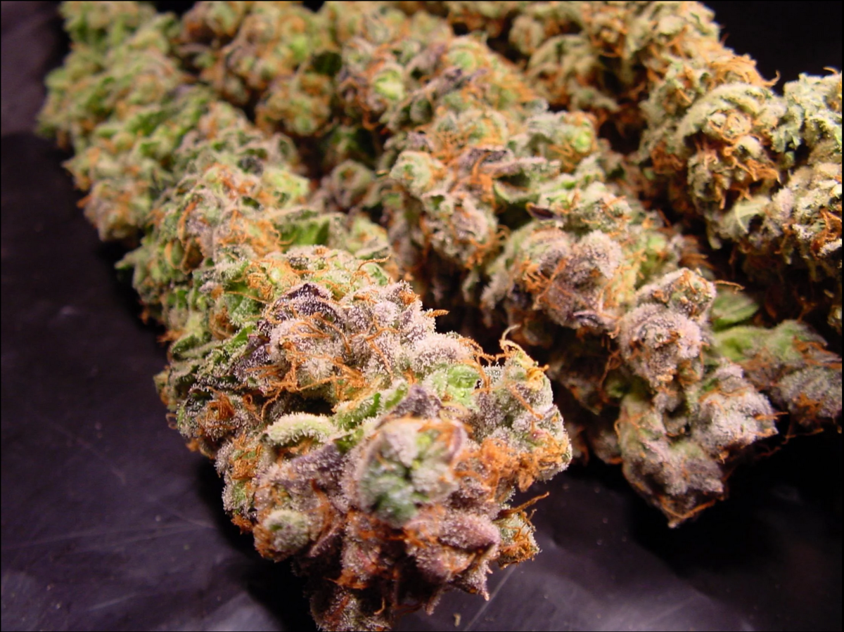 Paradise Seeds Durga Mata Feminisierte Hanfsamen