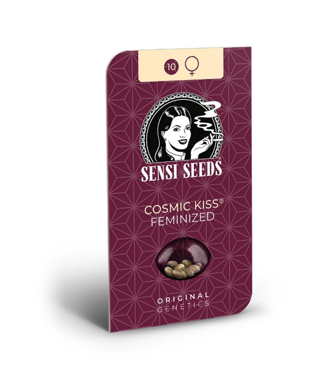 sensi seeds Comisc Kiss Feminisierte Hanfsamen Cannabisblüte