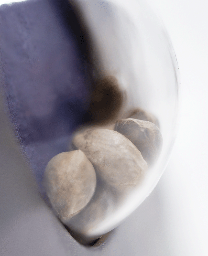 Sensi Seeds Northern Lights automatic Hanfsamen Blüte