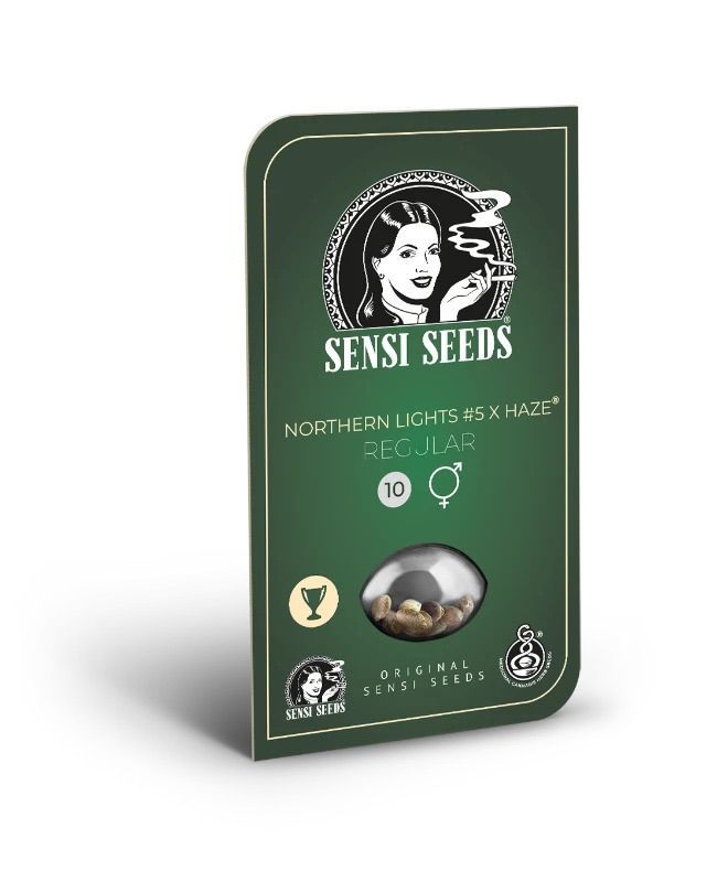 sensi seeds northern lights x haze regular hanfpflanze