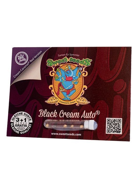 Sweet Seeds Black Cream automatic Hanfsamen