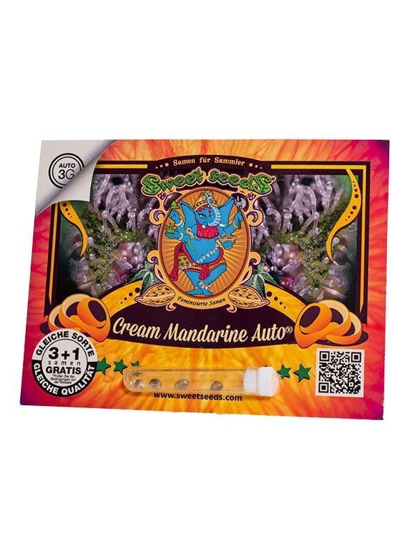Sweet Seeds Cream Mandarine automatic Hanfsamen