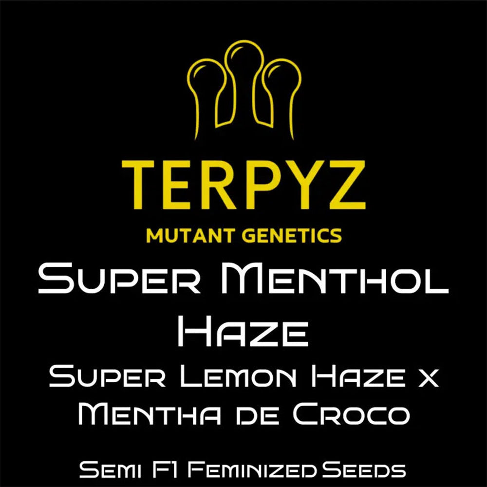 Terpyz Mutant Genetics Super Menthol Haze Feminisierte Hanfsamen