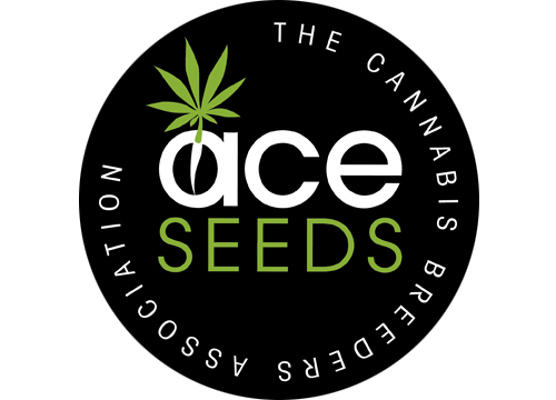ACE Seeds Feminisierte Cannabissamen