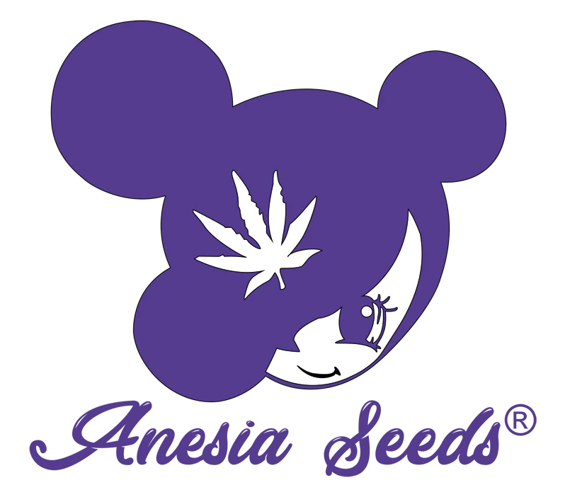 Anesia Seeds Cannabissamen