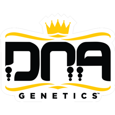 Dna Genetics Cannabissamen