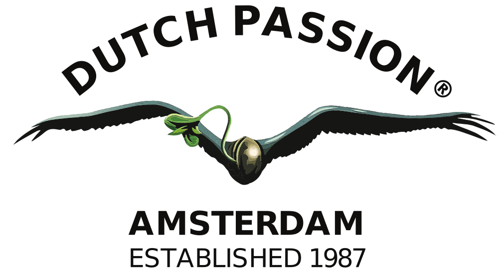 Dutch Passion Automatic Cannabissamen