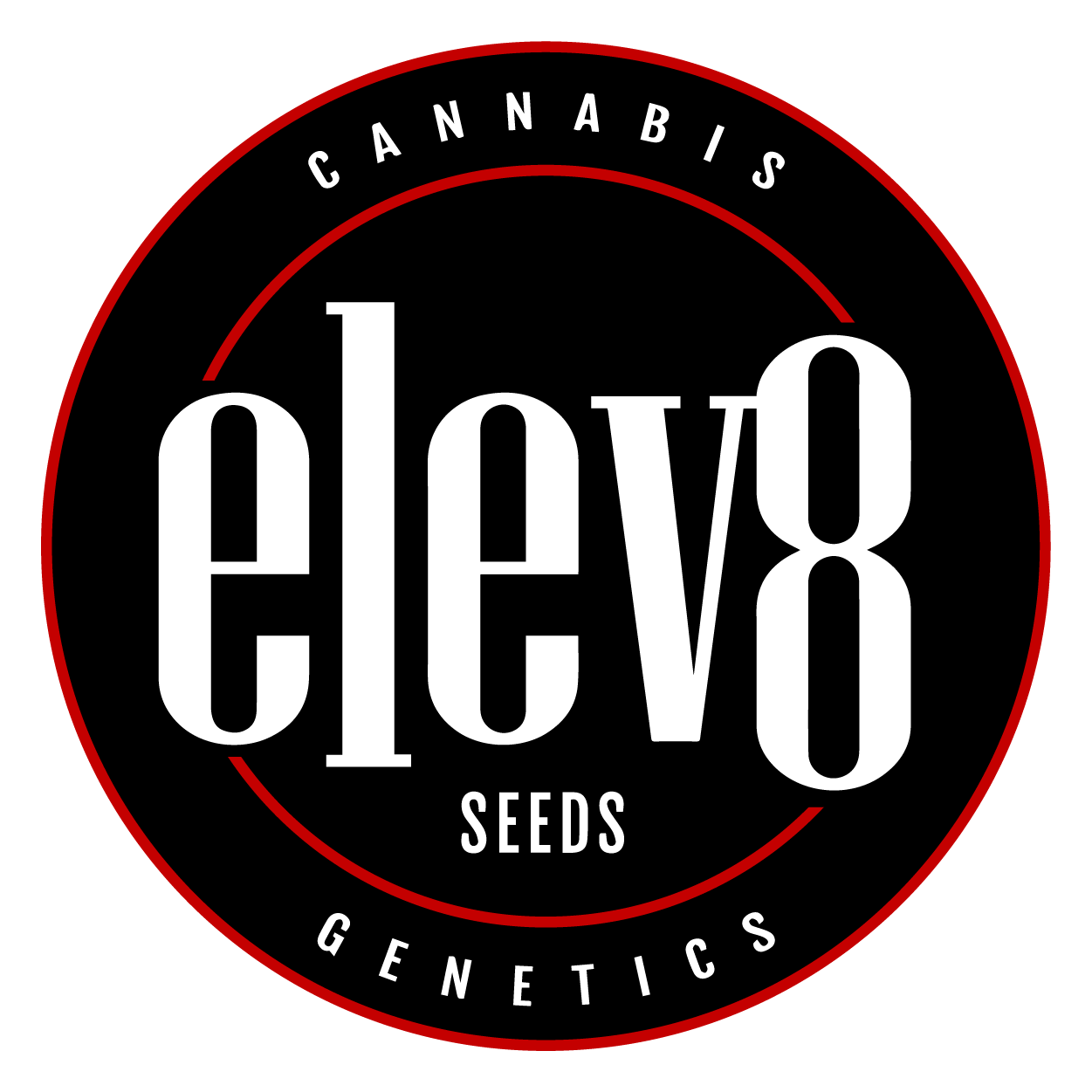 Elev8 Cannabissamen