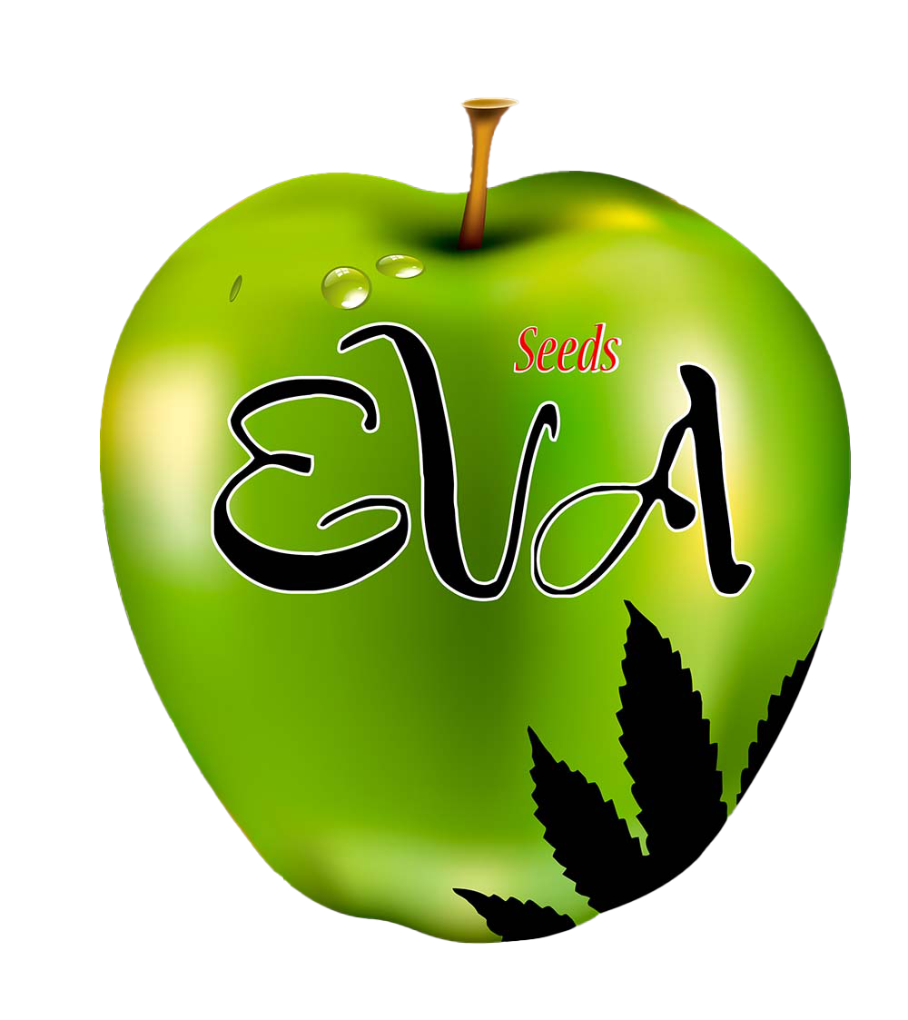 Eva Seeds Automatic Cannabissamen