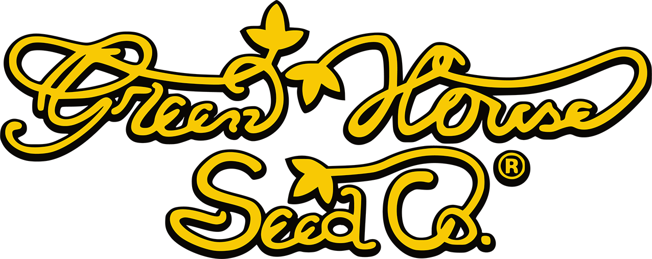 Green House Seeds Automatic Cannabissamen