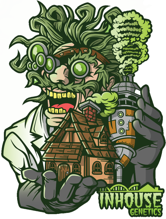 In House Genetics Cannabissamen