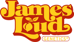 James Loud Genetics Cannabissamen