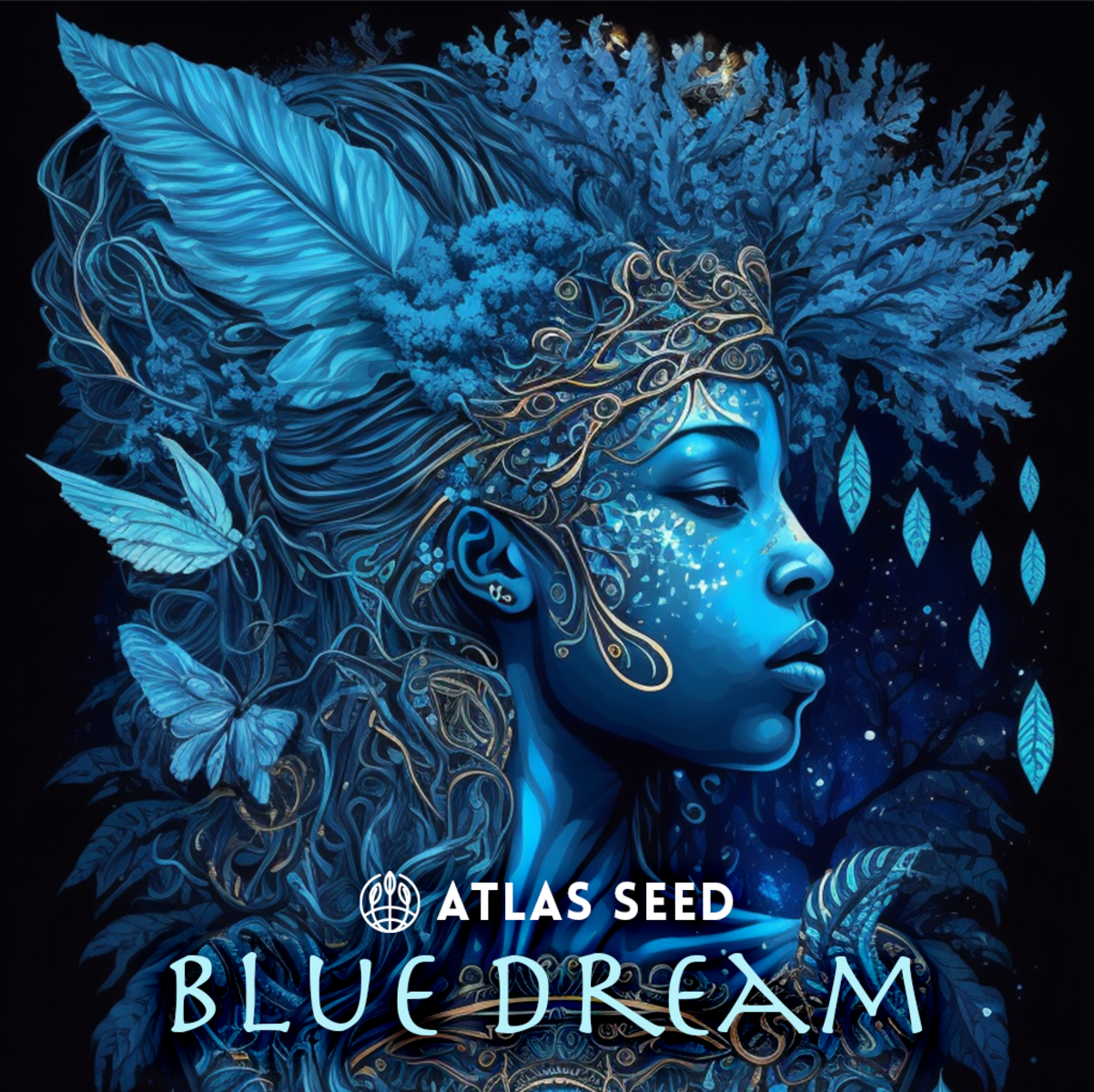 Atlas Seeds Blue Dream Feminisierte Hanfsamen