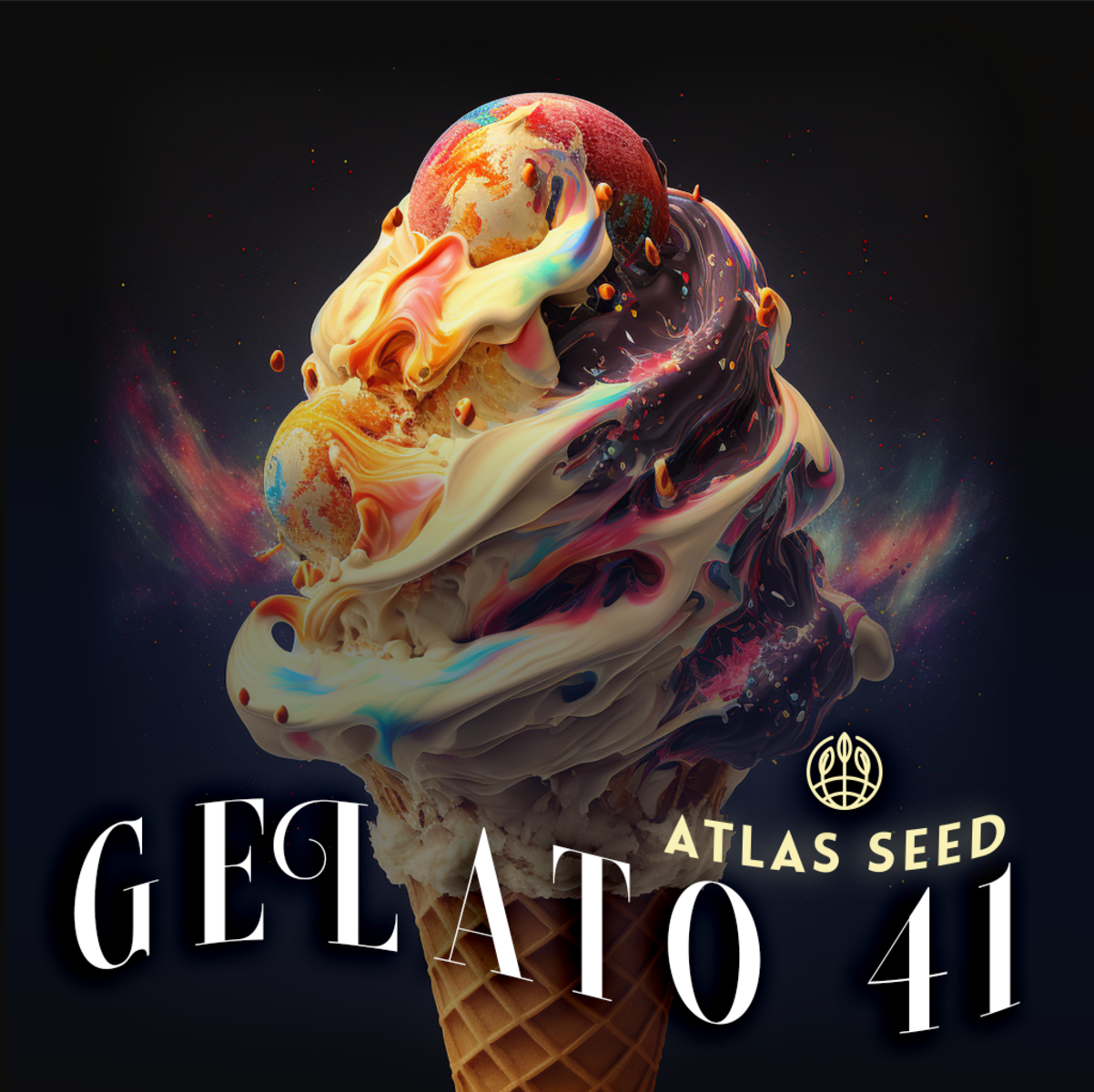 Atlas Seeds Gelato 41 Feminisierte Hanfsamen
