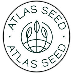 Atlas Seeds Cannabissamen