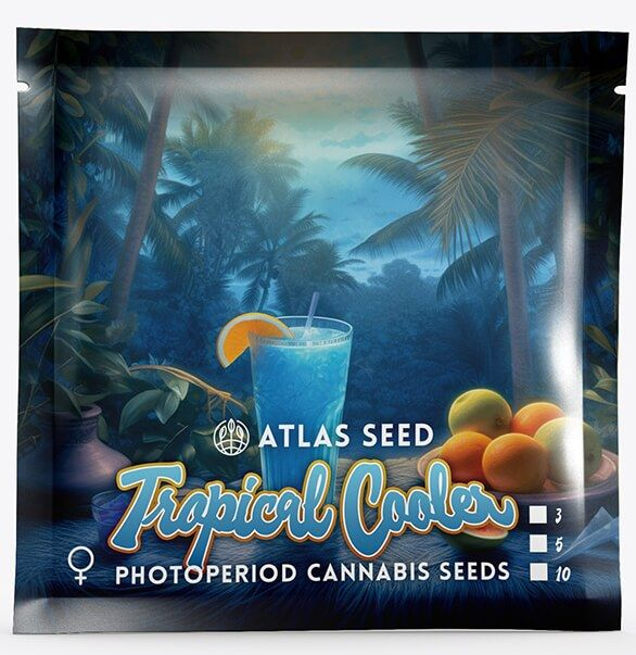 Atlas Seeds Tropical Cooler Feminisierte Hanfsame
