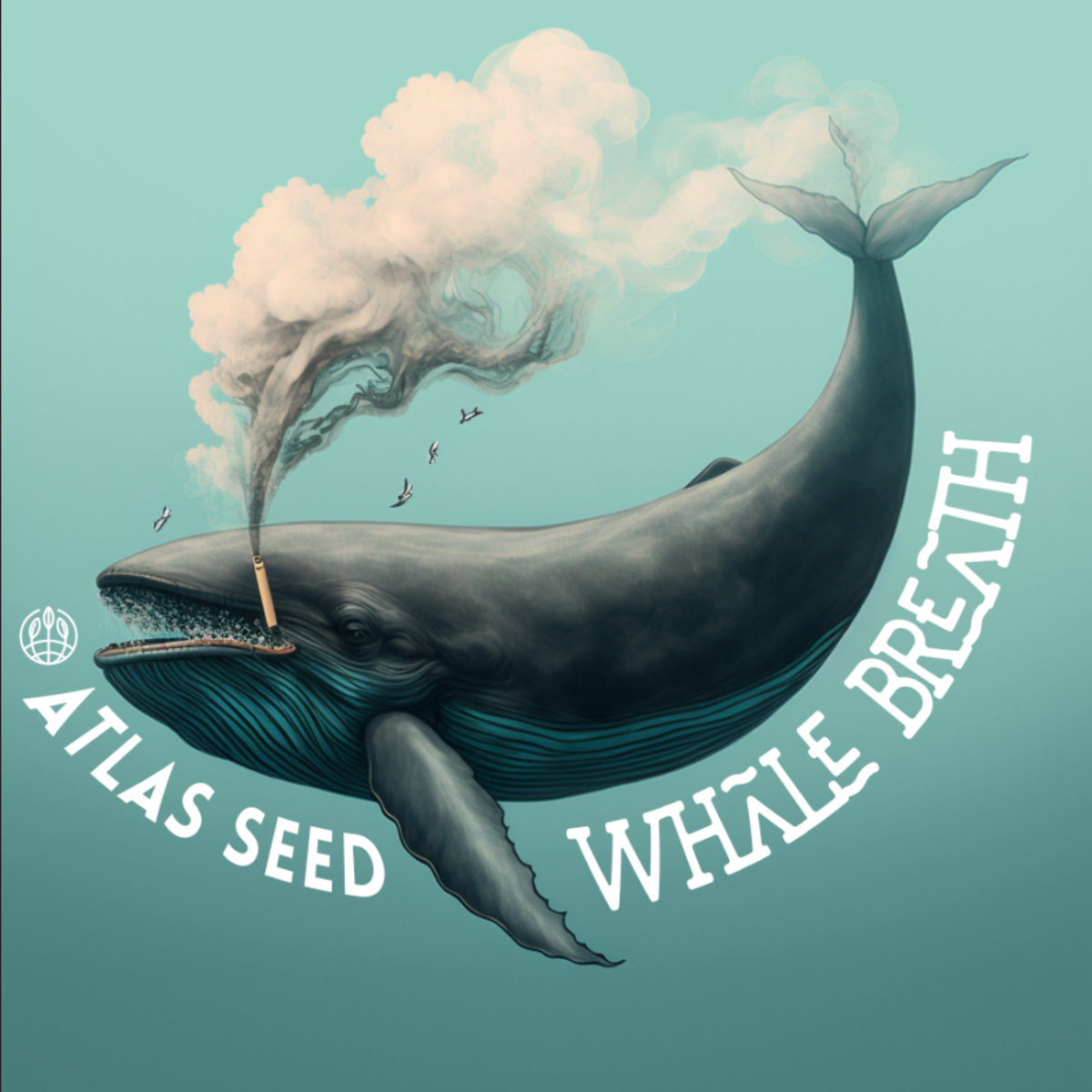 Atlas Seeds Whale Breath Feminisierte Hanfsamen
