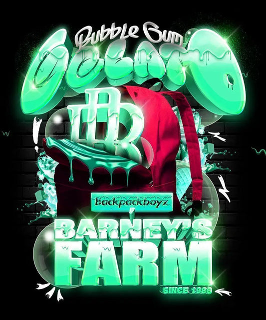 Barney's Farm Bubblegum Gelato Feminsierte Hanfsamen