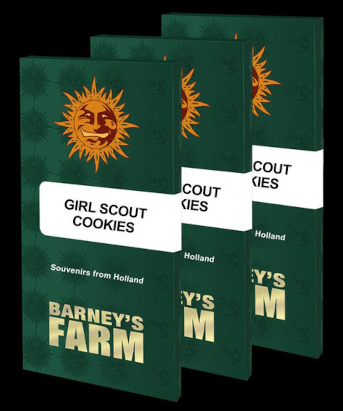 Barneys Farm Girl Scout Cookies Feminisierte Hanfsamen