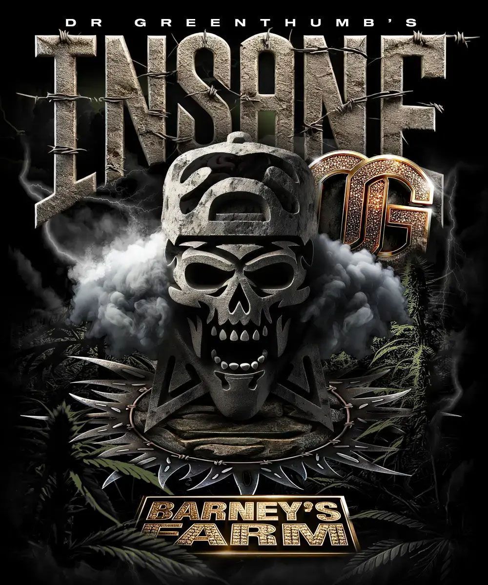 Barneys Farm Insane OG Feminisiert