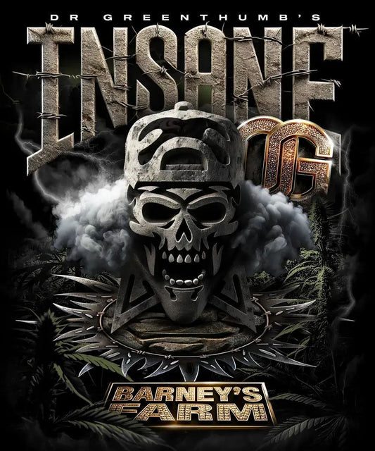 Barneys Farm Insane OG Feminisiert