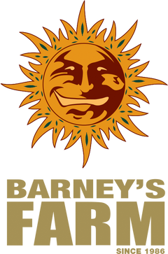 Barneys Farm Cannabissamen