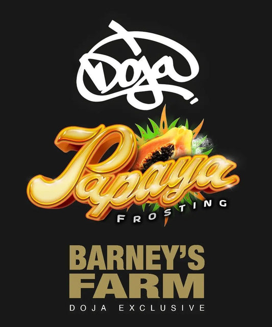 Barneys Farm Papaya Frosting Feminisierte Hanfsamen