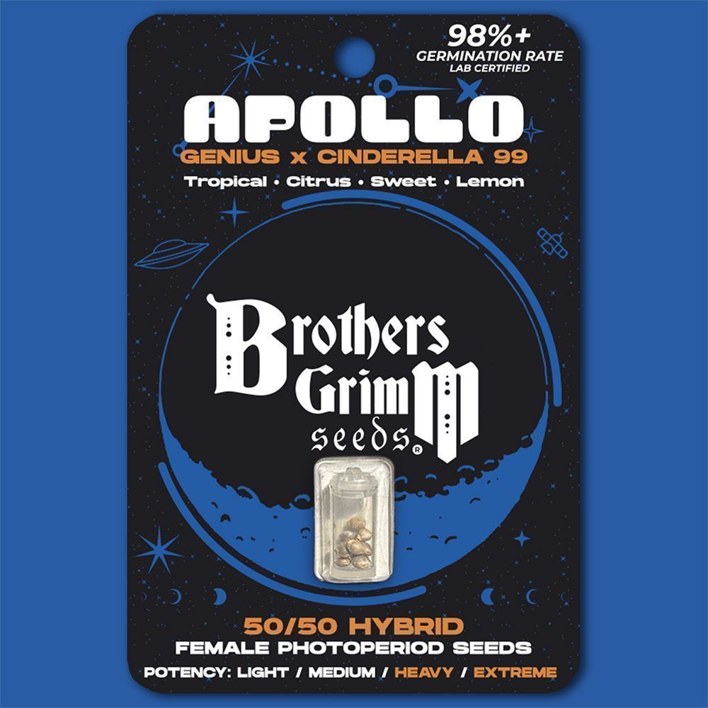 Brother Grimm Seeds Apollo Feminisierte Hanfsamen Cannabisblüte