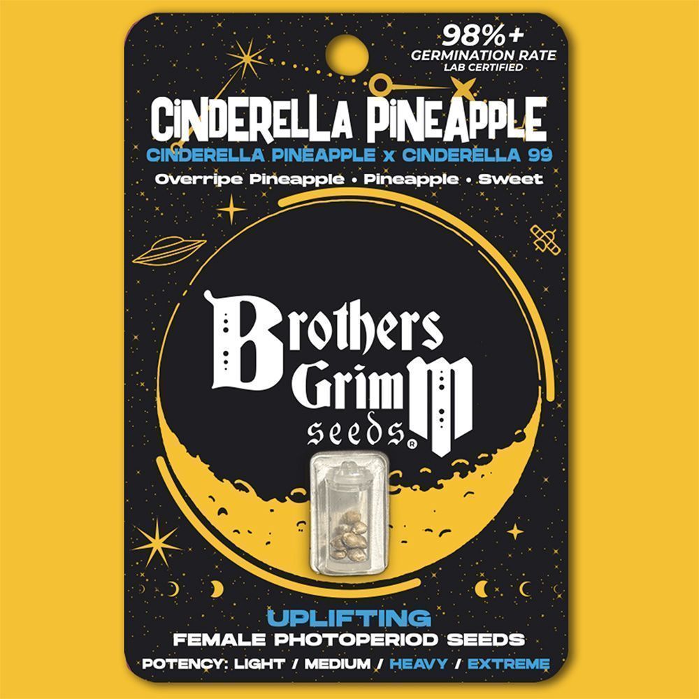 Brother Grimm Seeds Cinderella Pineapple Feminisierte Hanfsamen Cannabisblüte