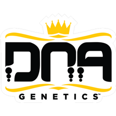 Dna Genetics Cannabissamen
