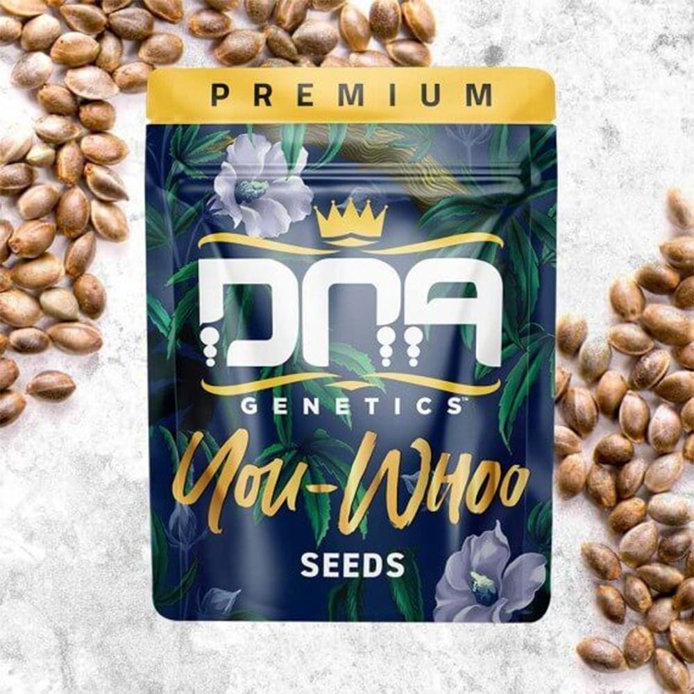 DNA Genetics You-Whoo Reguläre Hanfsamen Cali Pack