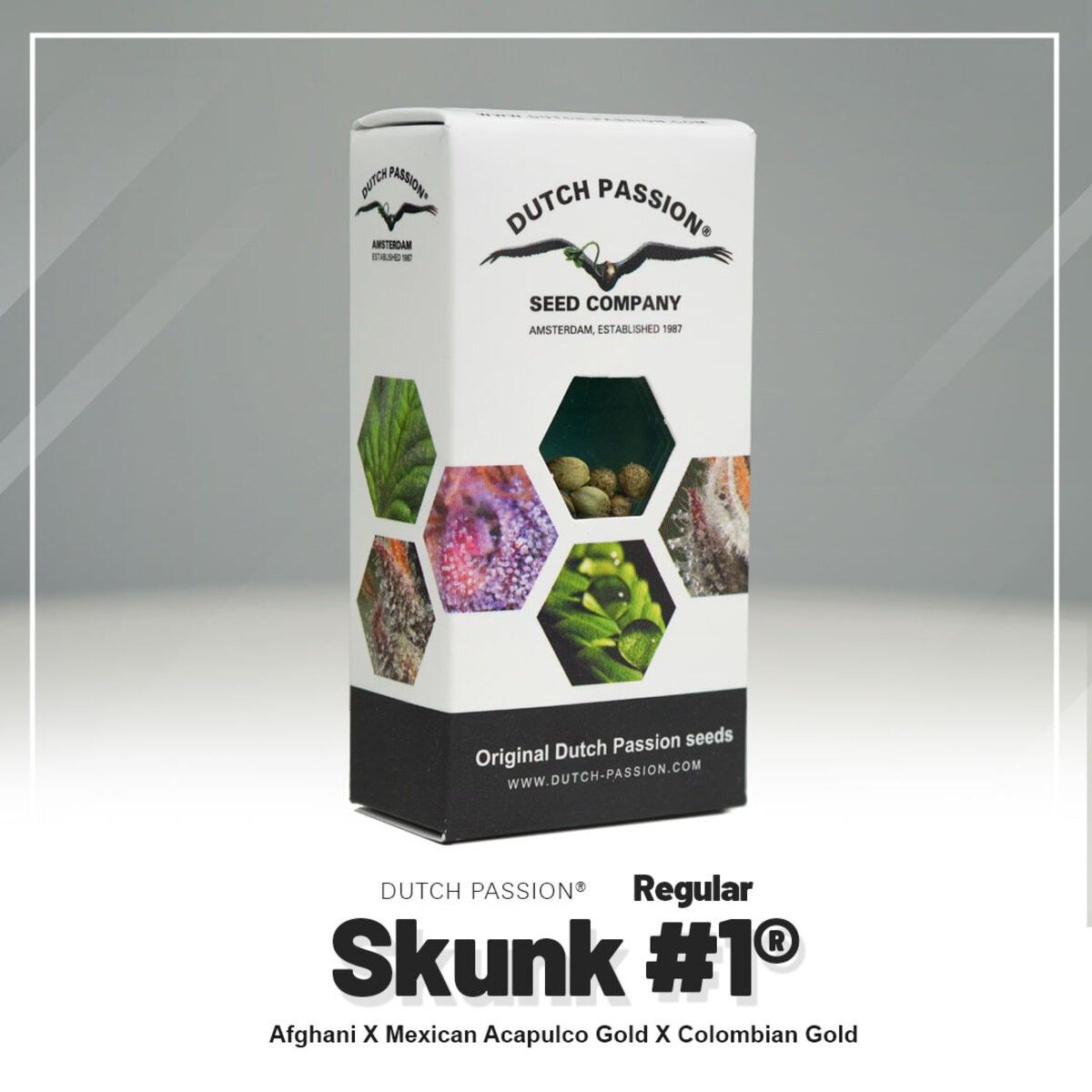 Dutch Passion Skunk #1 Reguläre Hanfsamen