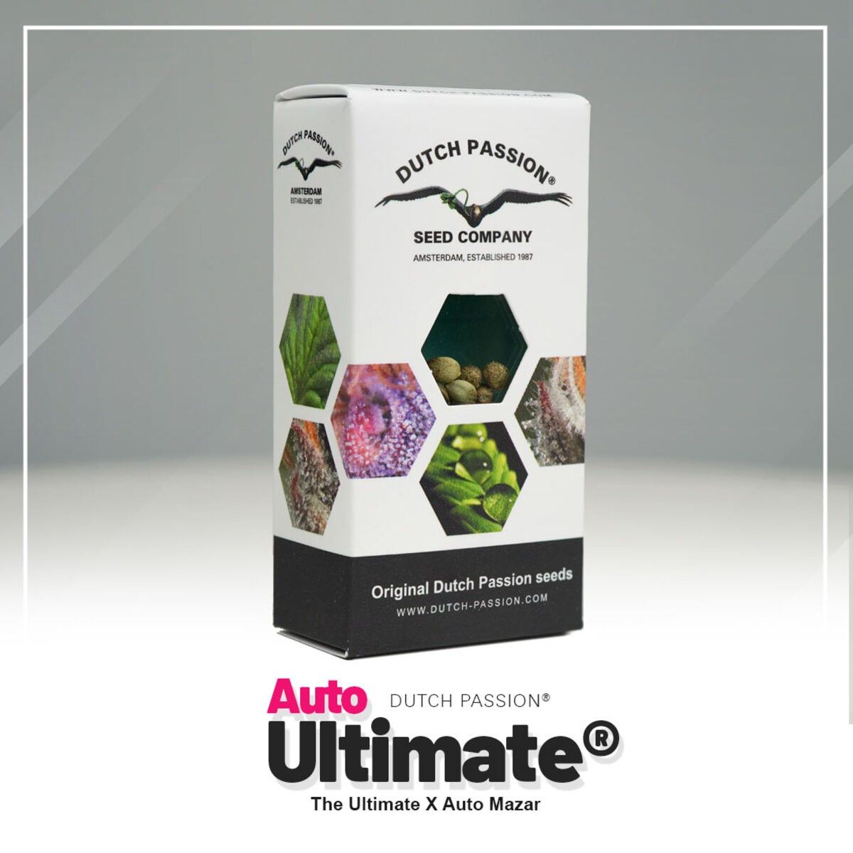 Dutch Passion Auto Ultimate Feminisierte Hanfsamen