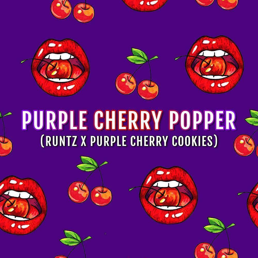 Elev8 Seeds Purple Cherry Popper Feminisierte Hanfsamen Cannabisblüte