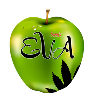 Eva Seeds