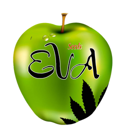 Eva Seeds Cannabissamen