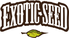 Exotic Seeds Cannnabissamen