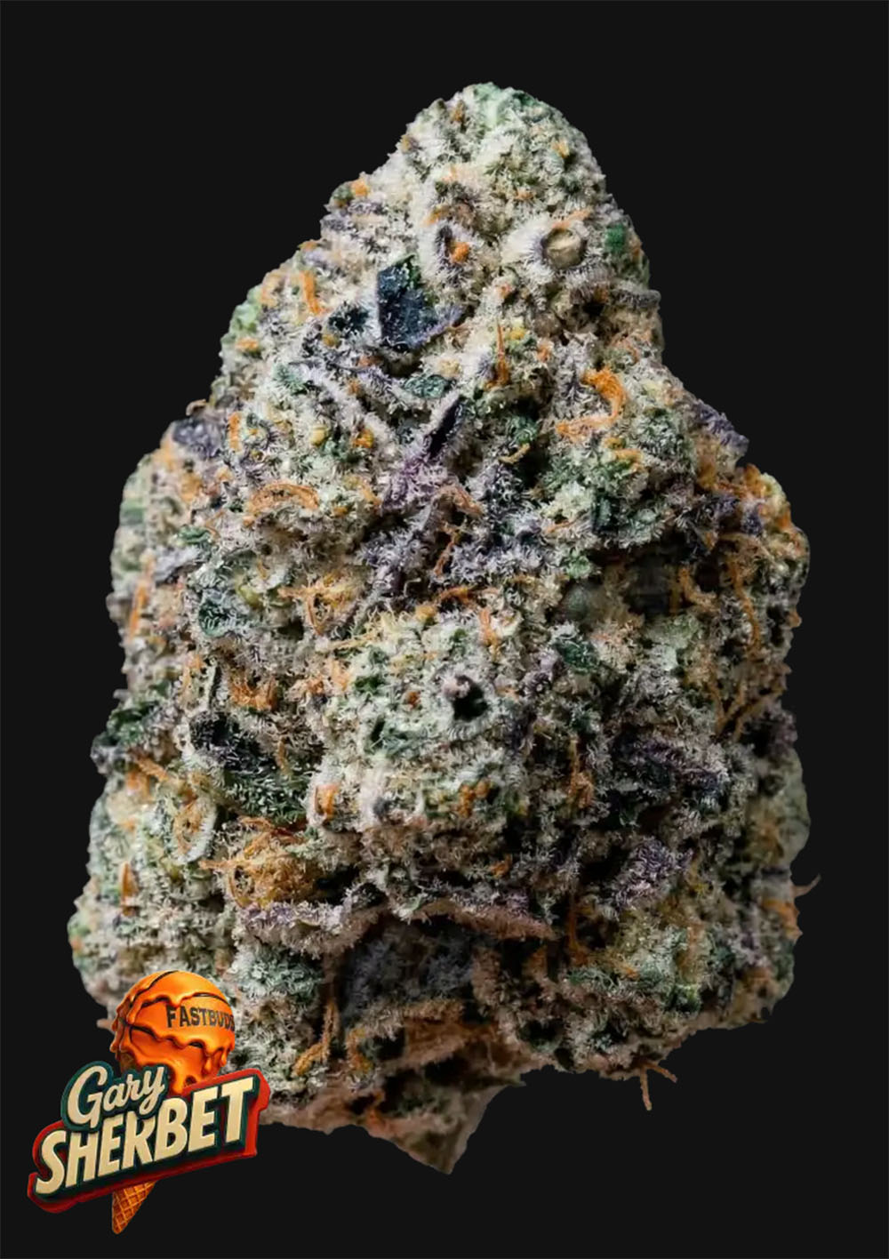 420 FastBuds Gary Sherbet Automatic Hanfsamen