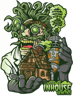 In House Genetics Cannabissamen