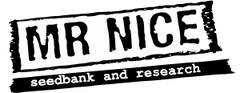Mr Nice Seeds Cannabissamen