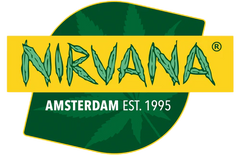 Nirvana Seeds Cannabissamen