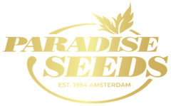 Paradise Seeds Cannabissamen