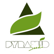 Pyramdi Seeds Logo